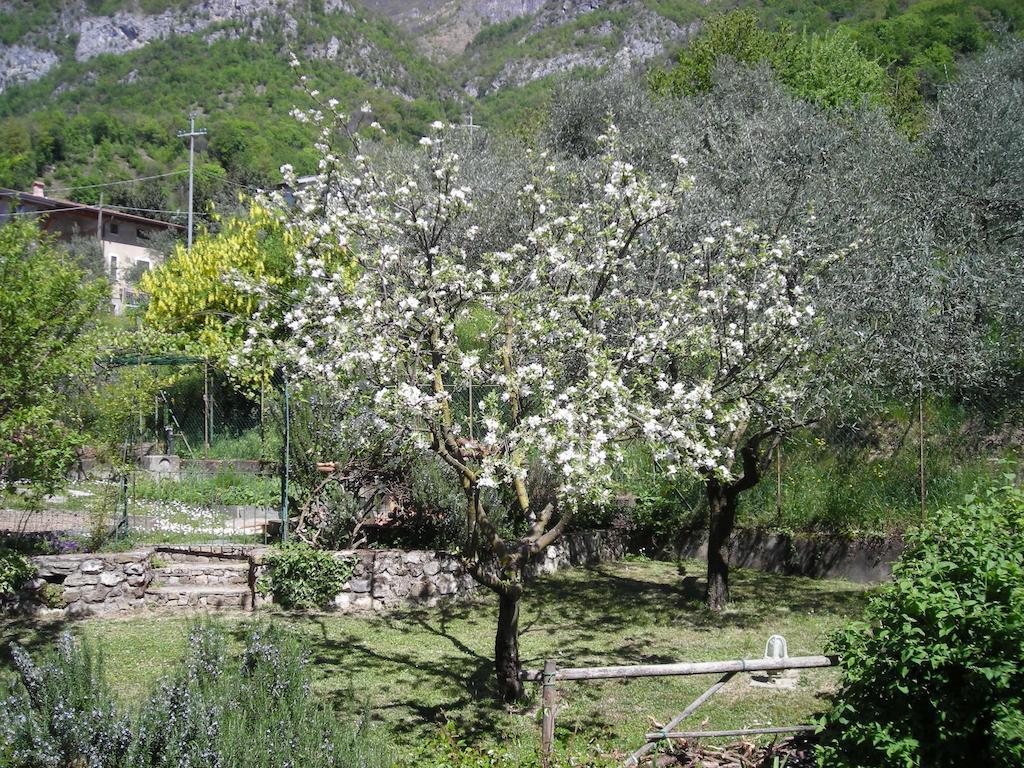 Il Bogno B&B Lierna Εξωτερικό φωτογραφία